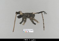 藏品(中國湖北皮影戲戲偶-動物)的圖片